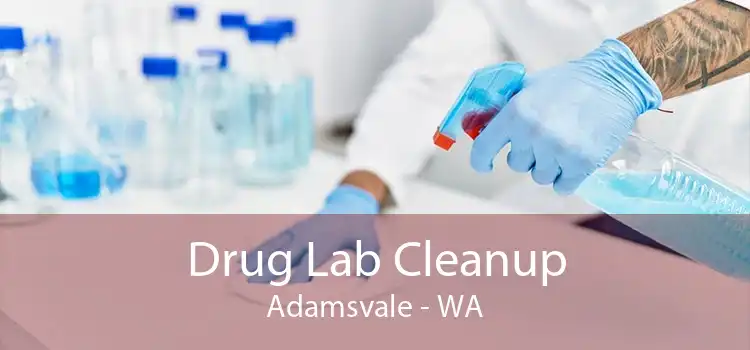 Drug Lab Cleanup Adamsvale - WA