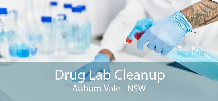 Drug Lab Cleanup Auburn Vale - NSW