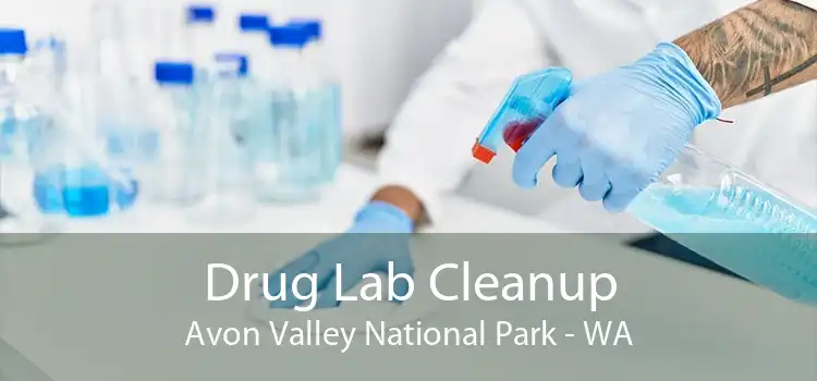 Drug Lab Cleanup Avon Valley National Park - WA