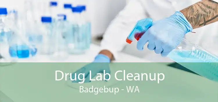 Drug Lab Cleanup Badgebup - WA