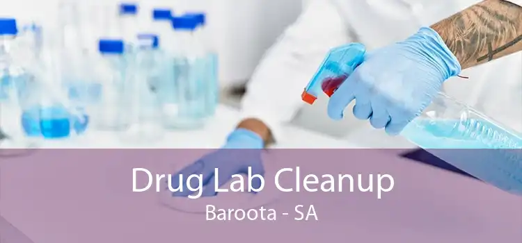 Drug Lab Cleanup Baroota - SA