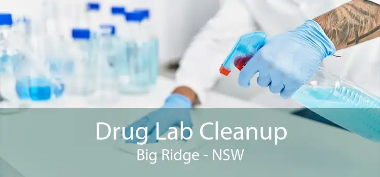 Drug Lab Cleanup Big Ridge - NSW