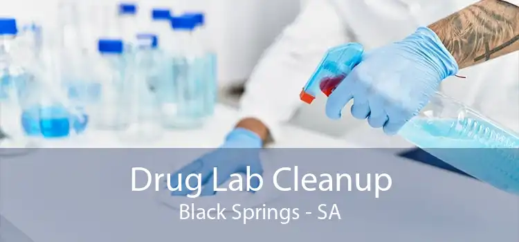 Drug Lab Cleanup Black Springs - SA