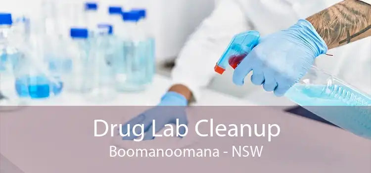 Drug Lab Cleanup Boomanoomana - NSW