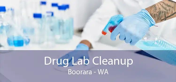 Drug Lab Cleanup Boorara - WA