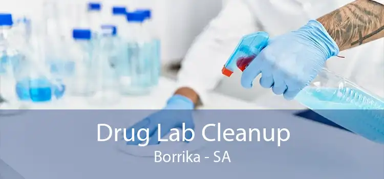 Drug Lab Cleanup Borrika - SA