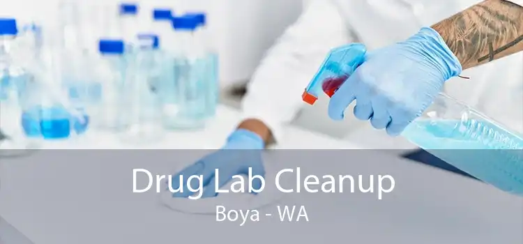 Drug Lab Cleanup Boya - WA