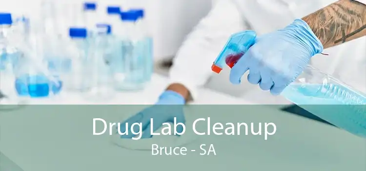 Drug Lab Cleanup Bruce - SA