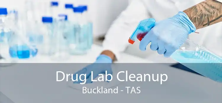 Drug Lab Cleanup Buckland - TAS