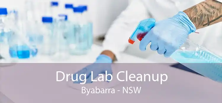 Drug Lab Cleanup Byabarra - NSW