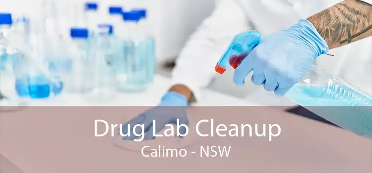 Drug Lab Cleanup Calimo - NSW