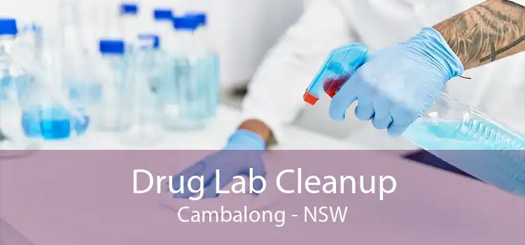 Drug Lab Cleanup Cambalong - NSW