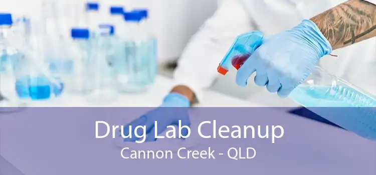 Drug Lab Cleanup Cannon Creek - QLD