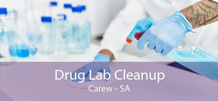 Drug Lab Cleanup Carew - SA