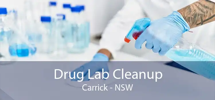 Drug Lab Cleanup Carrick - NSW