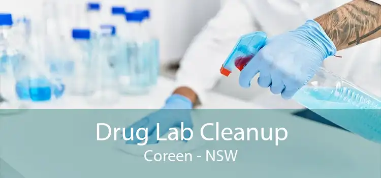 Drug Lab Cleanup Coreen - NSW