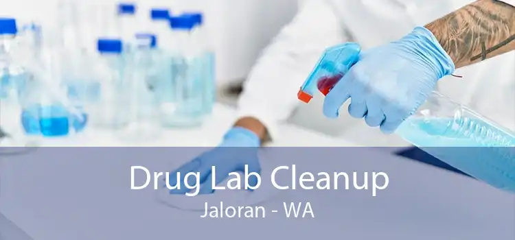 Drug Lab Cleanup Jaloran - WA