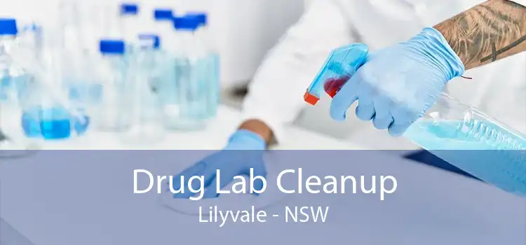 Drug Lab Cleanup Lilyvale - NSW
