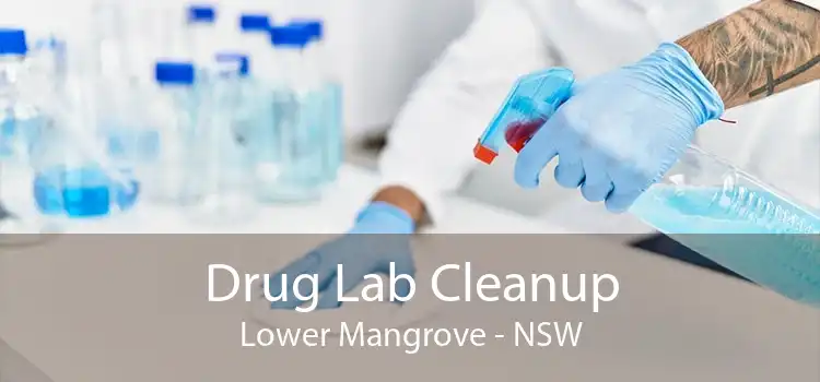 Drug Lab Cleanup Lower Mangrove - NSW
