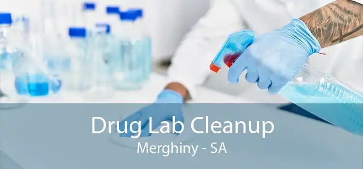 Drug Lab Cleanup Merghiny - SA