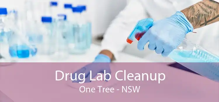 Drug Lab Cleanup One Tree - NSW