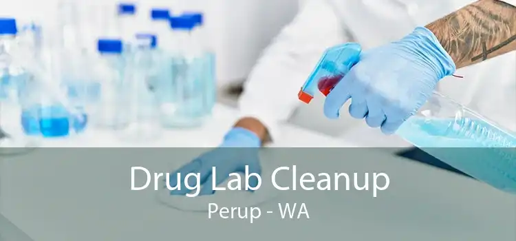 Drug Lab Cleanup Perup - WA