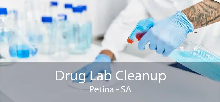 Drug Lab Cleanup Petina - SA