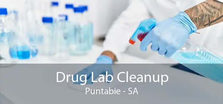 Drug Lab Cleanup Puntabie - SA