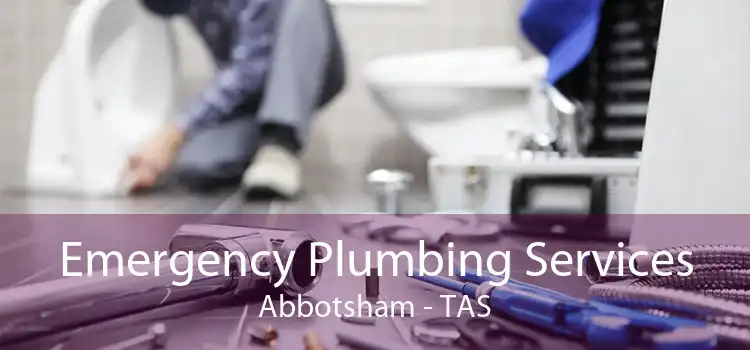 Emergency Plumbing Services Abbotsham - TAS
