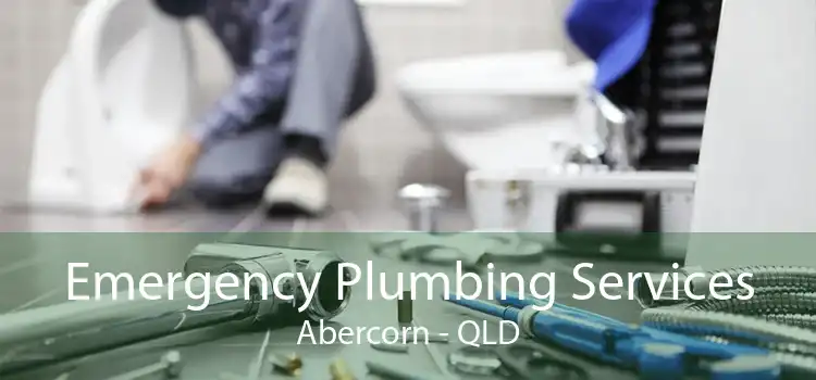 Emergency Plumbing Services Abercorn - QLD