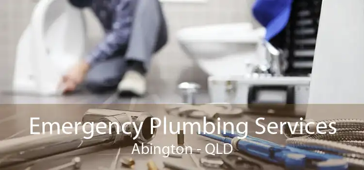 Emergency Plumbing Services Abington - QLD