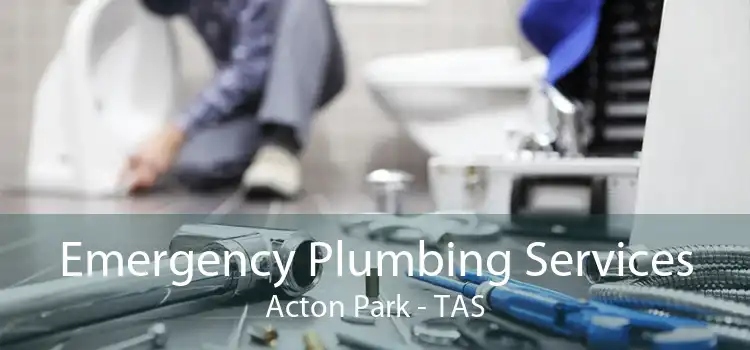 Emergency Plumbing Services Acton Park - TAS