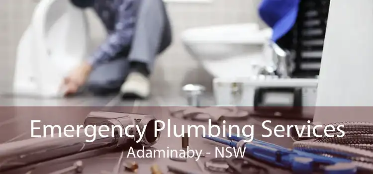 Emergency Plumbing Services Adaminaby - NSW