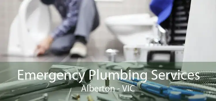 Emergency Plumbing Services Alberton - VIC