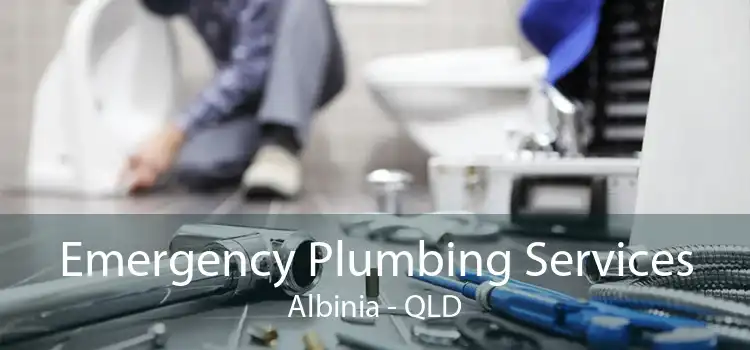 Emergency Plumbing Services Albinia - QLD
