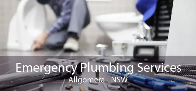 Emergency Plumbing Services Allgomera - NSW