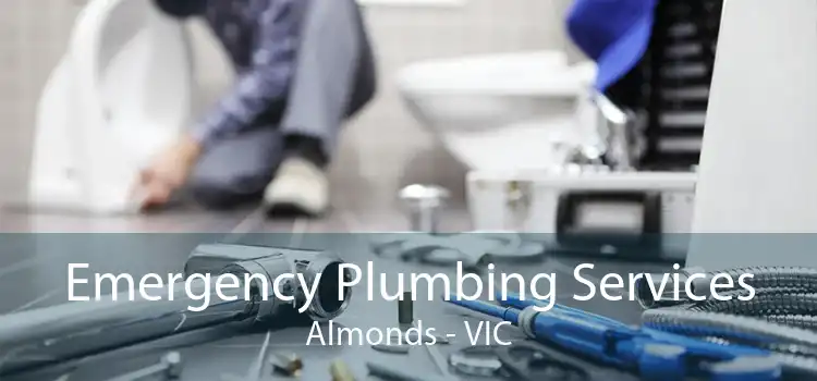 Emergency Plumbing Services Almonds - VIC