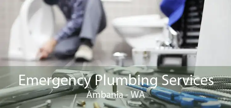 Emergency Plumbing Services Ambania - WA