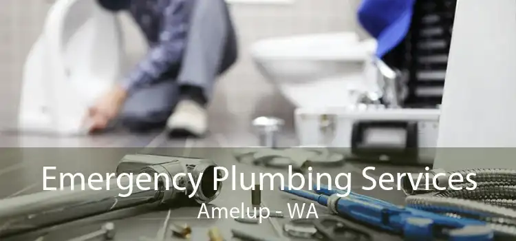 Emergency Plumbing Services Amelup - WA