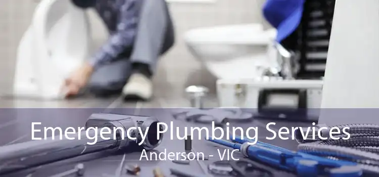 Emergency Plumbing Services Anderson - VIC