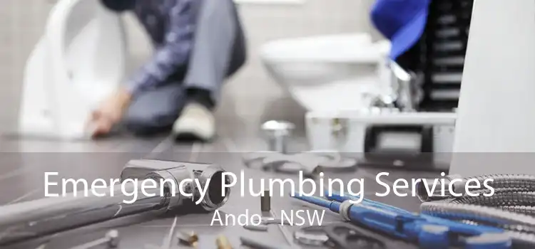 Emergency Plumbing Services Ando - NSW