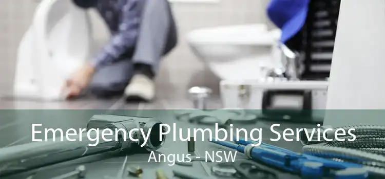 Emergency Plumbing Services Angus - NSW