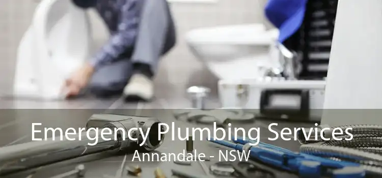 Emergency Plumbing Services Annandale - NSW