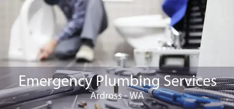 Emergency Plumbing Services Ardross - WA