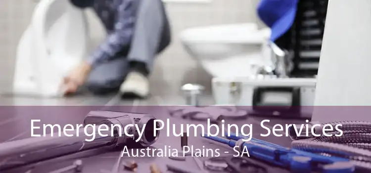 Emergency Plumbing Services Australia Plains - SA