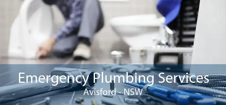 Emergency Plumbing Services Avisford - NSW