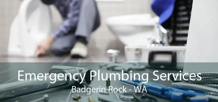 Emergency Plumbing Services Badgerin Rock - WA