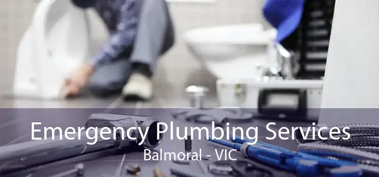 Emergency Plumbing Services Balmoral - VIC