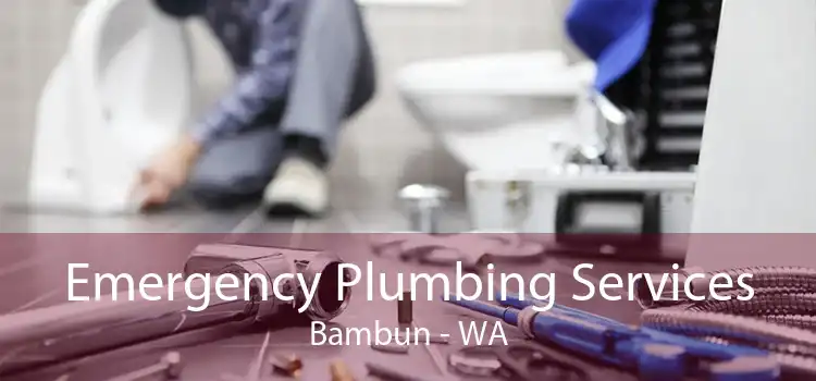 Emergency Plumbing Services Bambun - WA