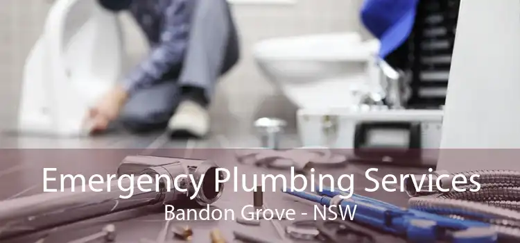 Emergency Plumbing Services Bandon Grove - NSW